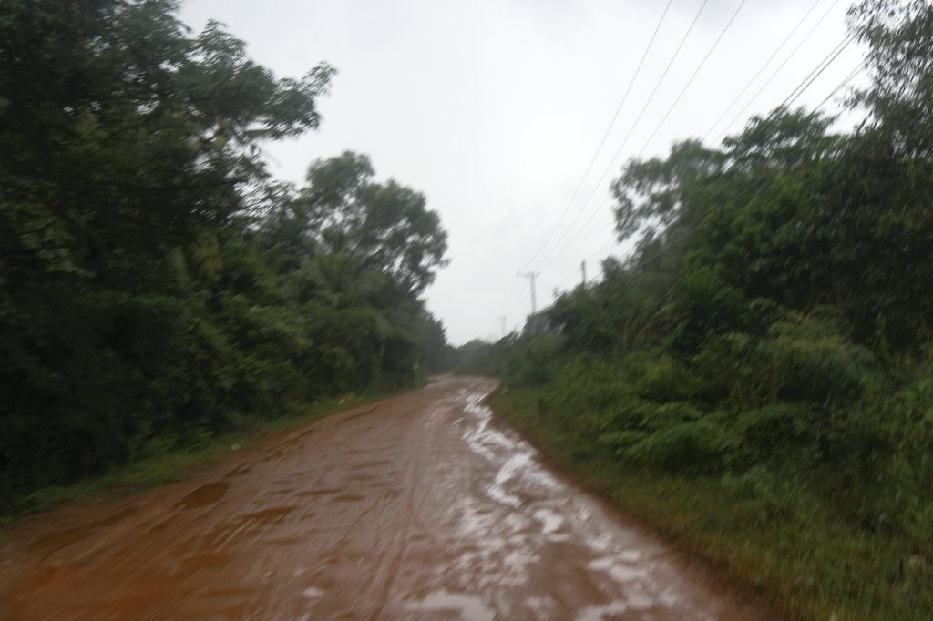 Image SAM_2589.JPG