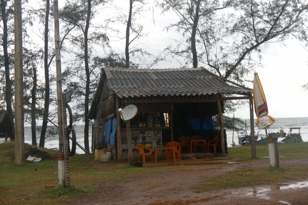Image SAM_2590.JPG