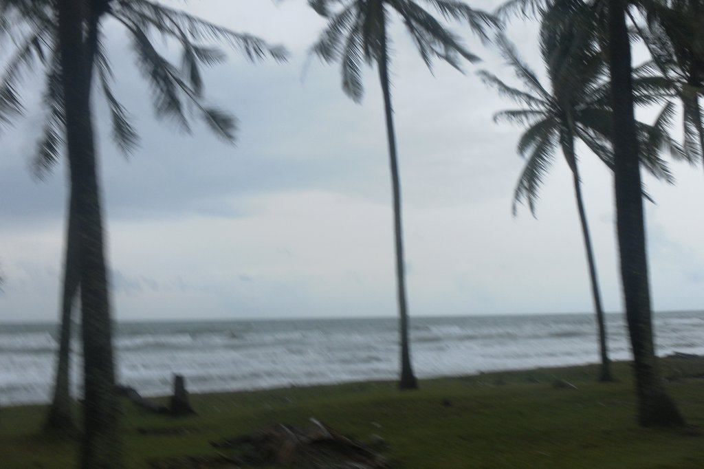 Image SAM_2593.JPG