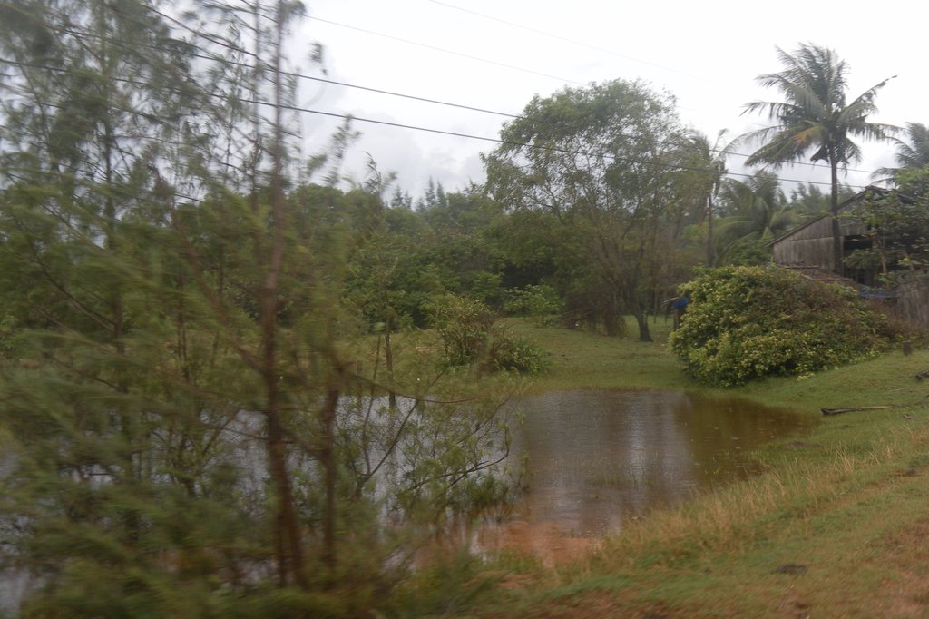 Image SAM_2596.JPG