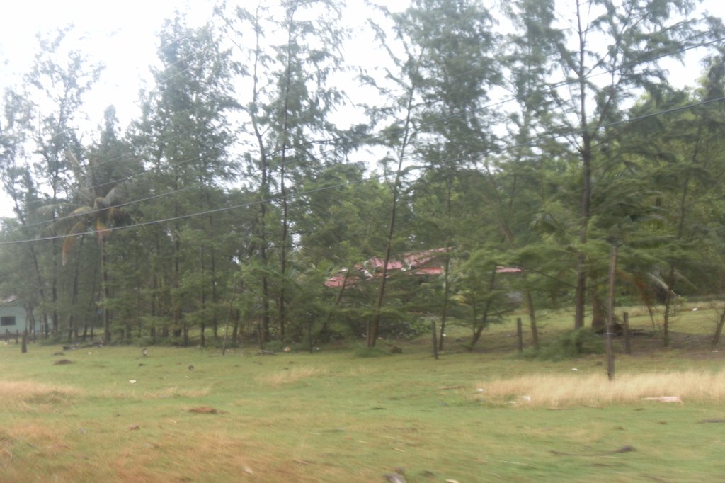 Image SAM_2597.JPG