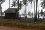 SAM 2598 thumb