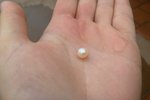SAM 2601 thumb