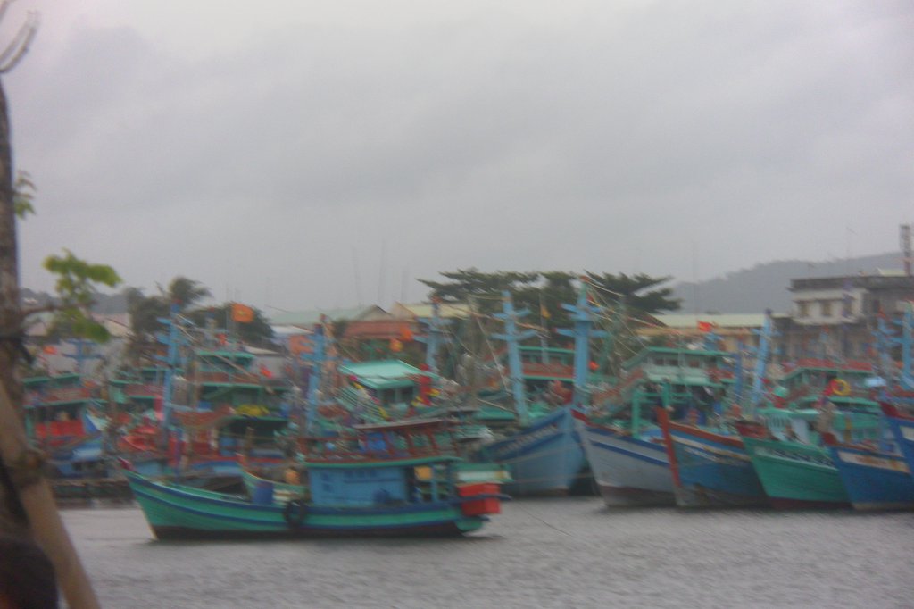 Image SAM_2607.JPG