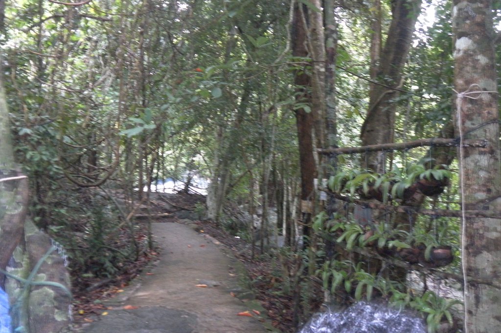 Image SAM_2625.JPG