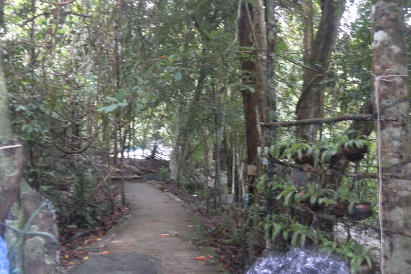 Image SAM_2625.JPG