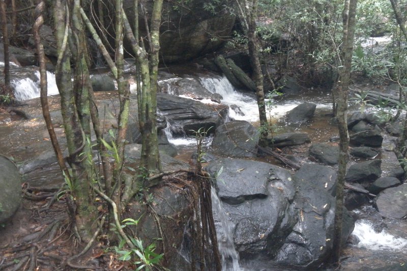 Image SAM_2629.JPG