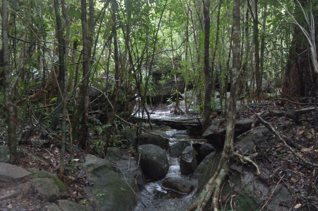 Image SAM_2633.JPG