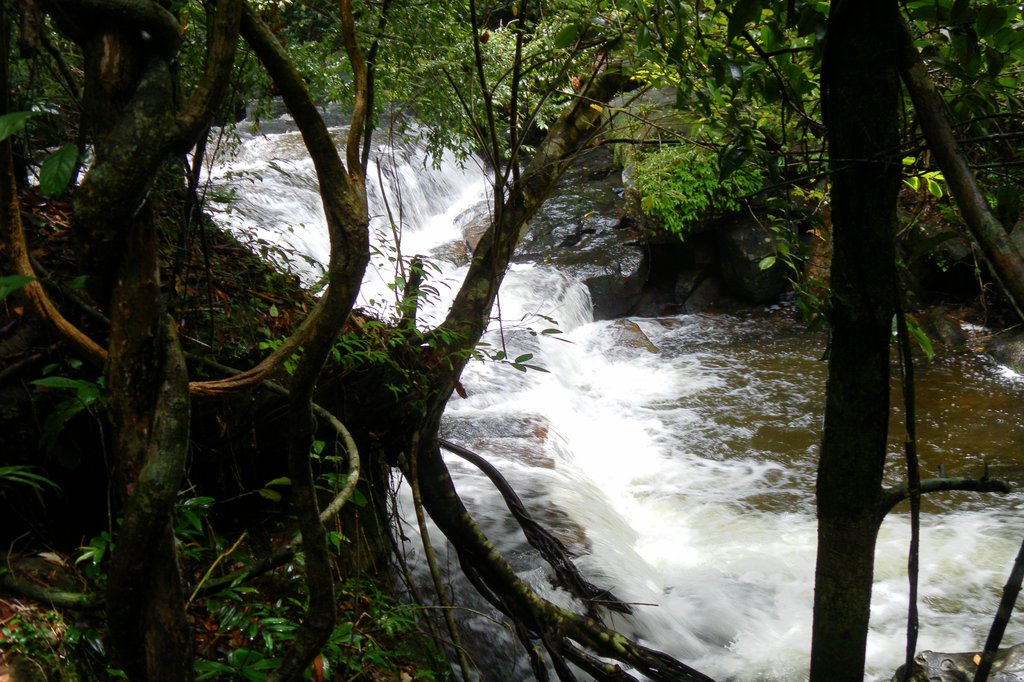 Image SAM_2643.JPG