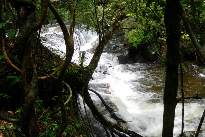 Image SAM_2643.JPG