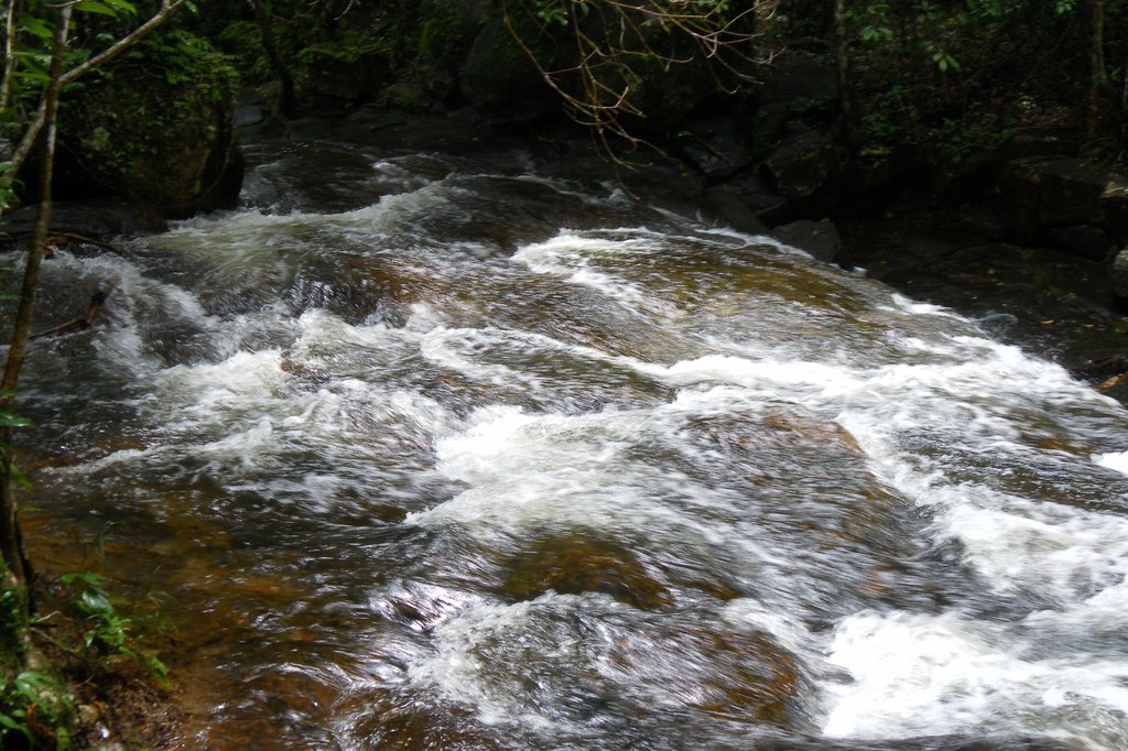 Image SAM_2644.JPG