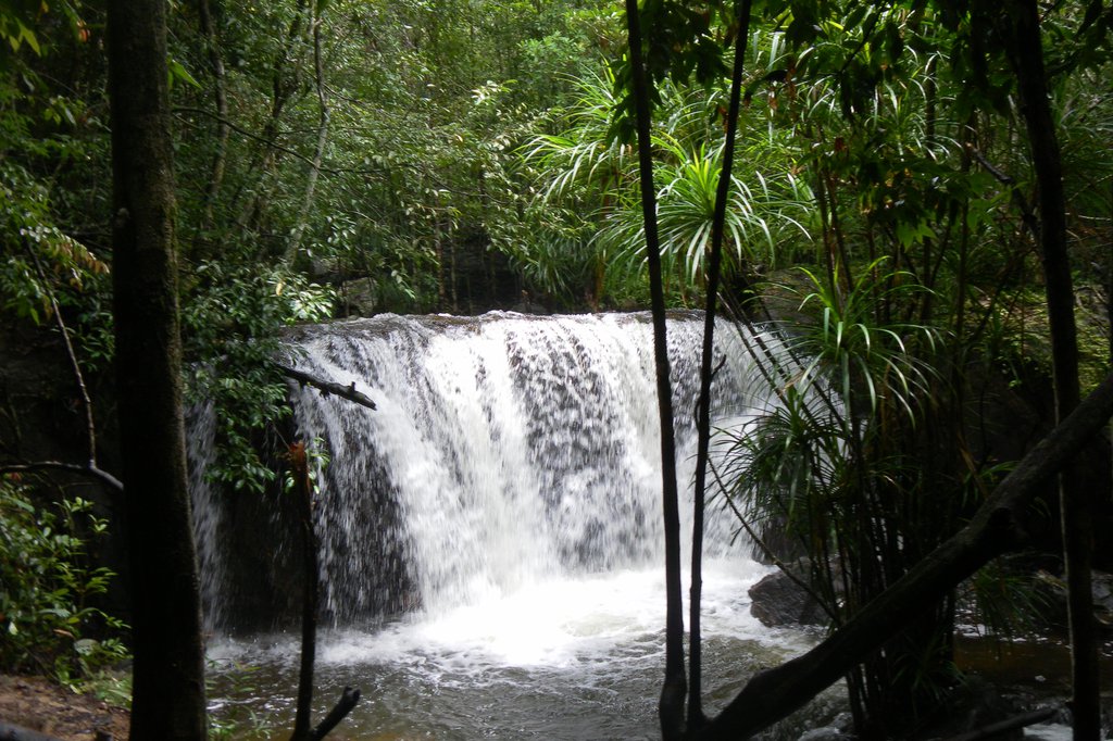 Image SAM_2647.JPG