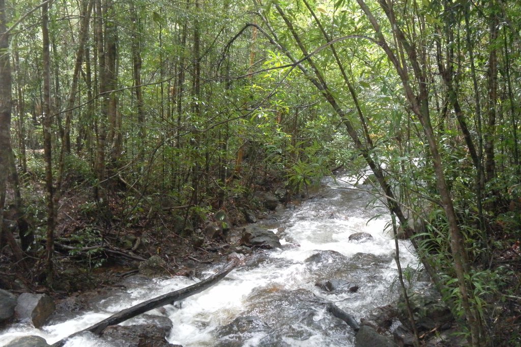 Image SAM_2648.JPG
