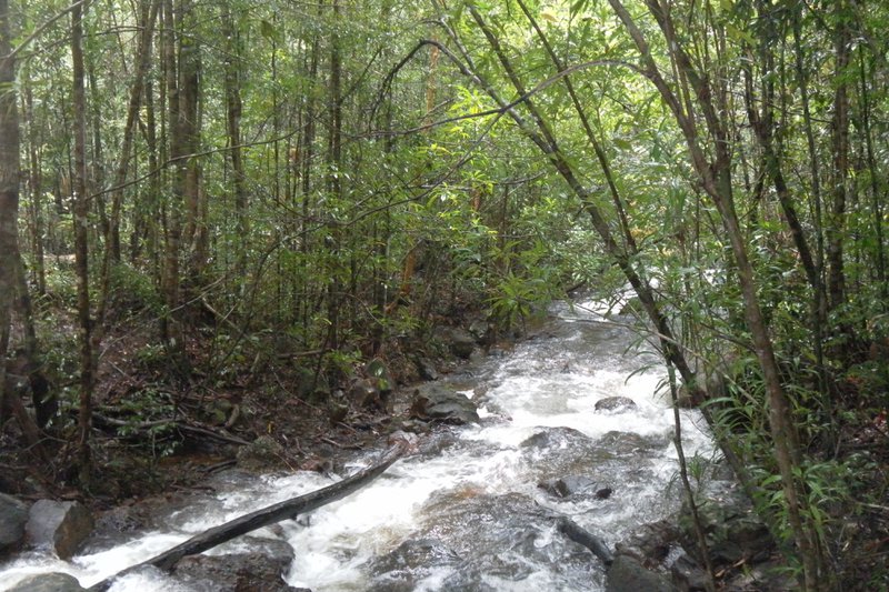 Image SAM_2648.JPG