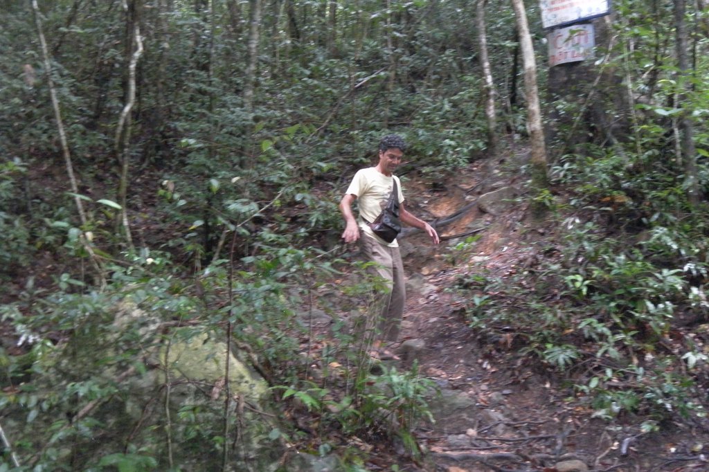 Image SAM_2653.JPG
