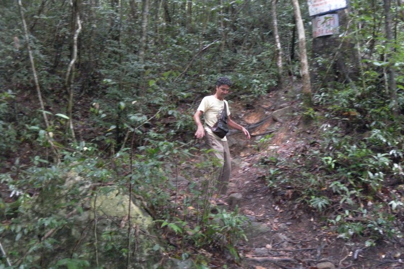 Image SAM_2653.JPG