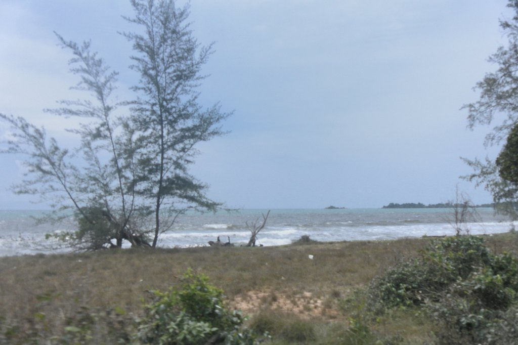 Image SAM_2677.JPG