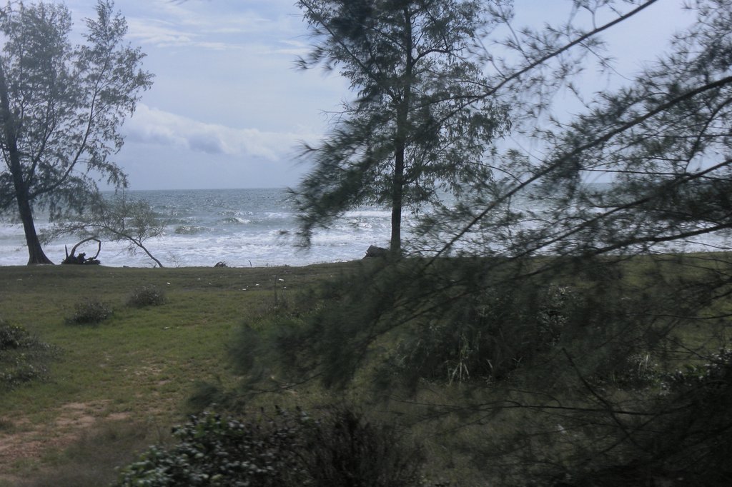 Image SAM_2687.JPG