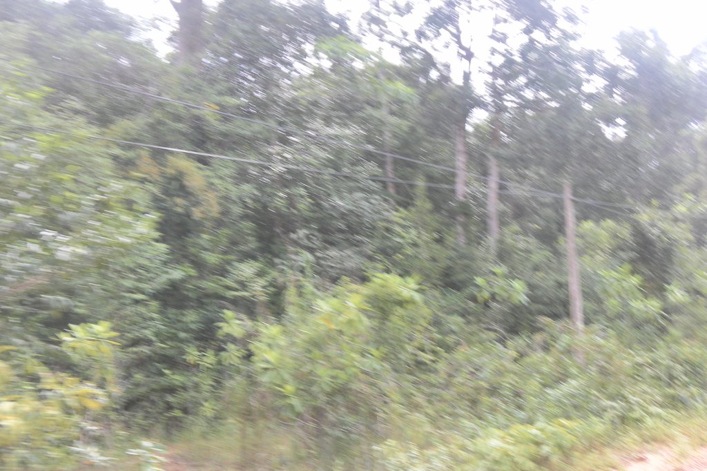 Image SAM_2707.JPG