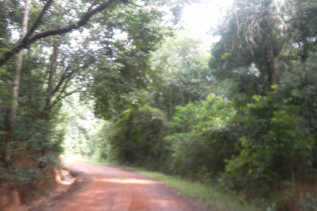 Image SAM_2715.JPG