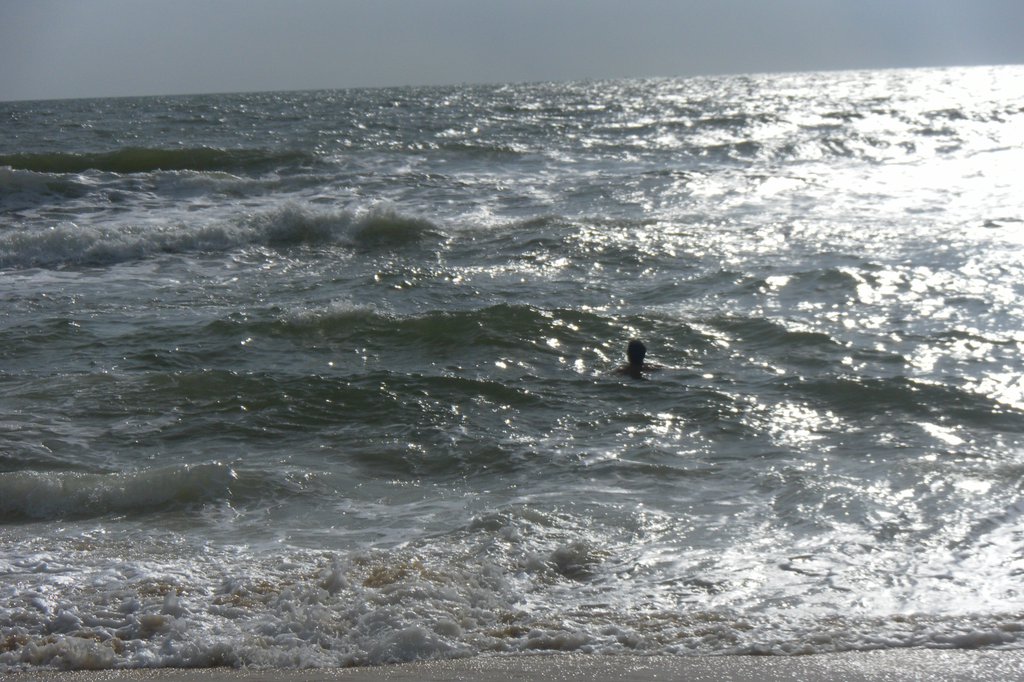 Image SAM_2727.JPG
