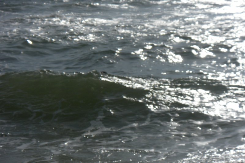 Image SAM_2732.JPG