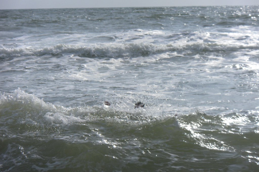 Image SAM_2734.JPG