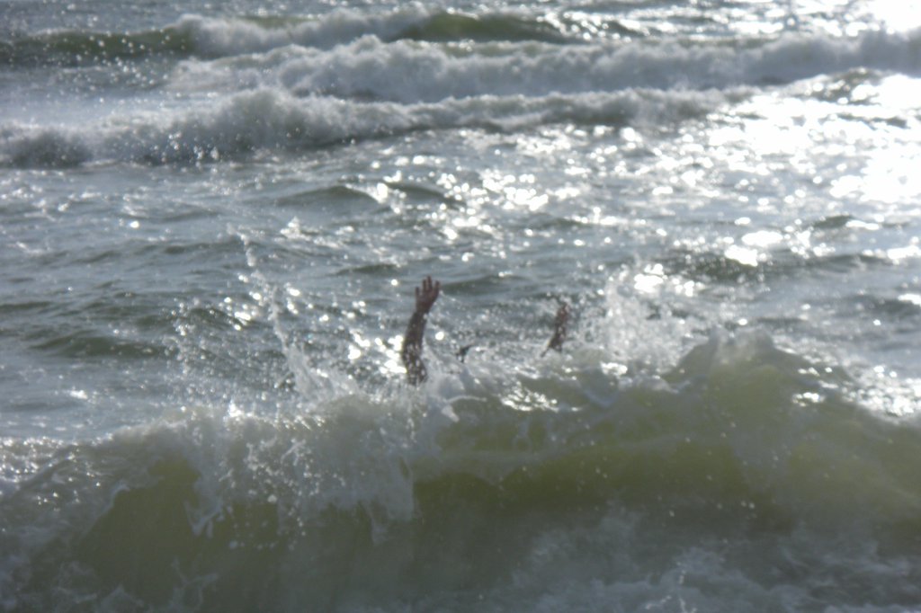 Image SAM_2736.JPG