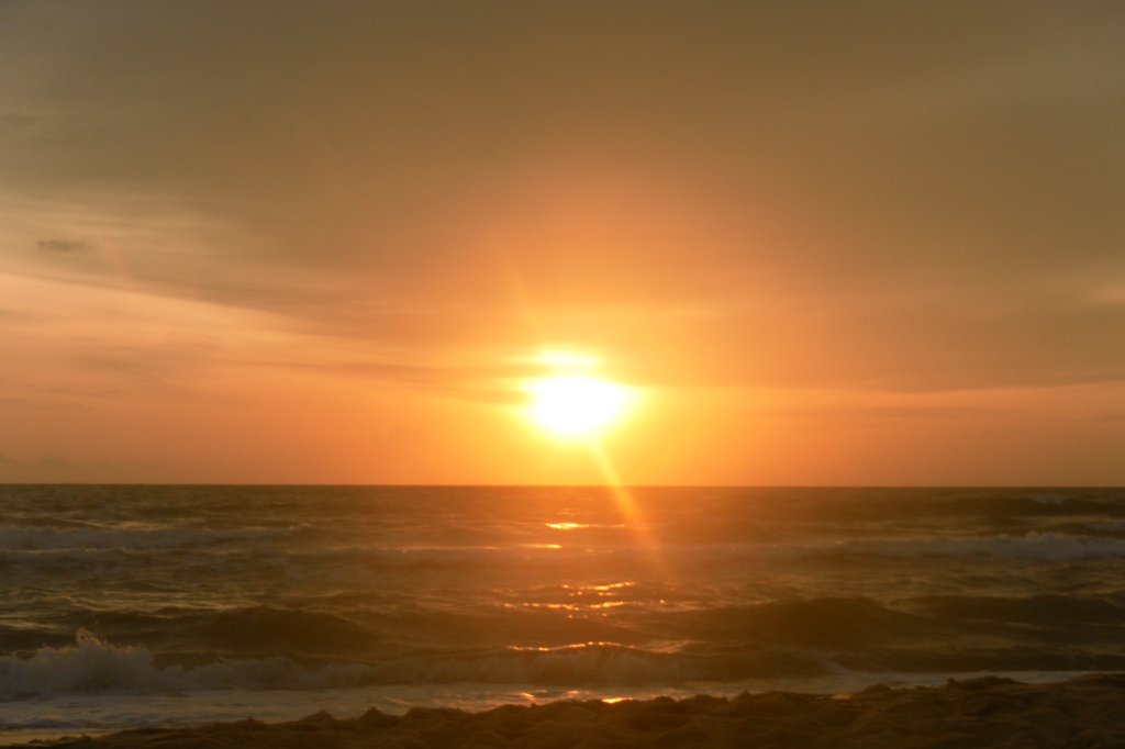 Image SAM_2745.JPG