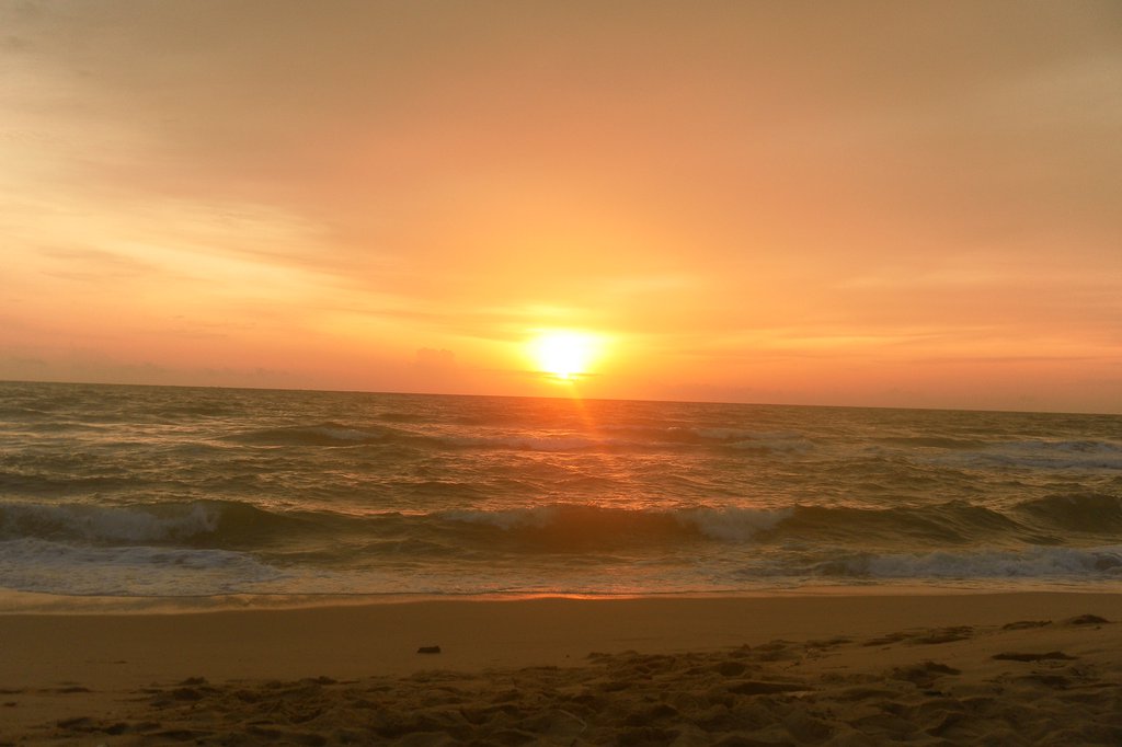 Image SAM_2746.JPG