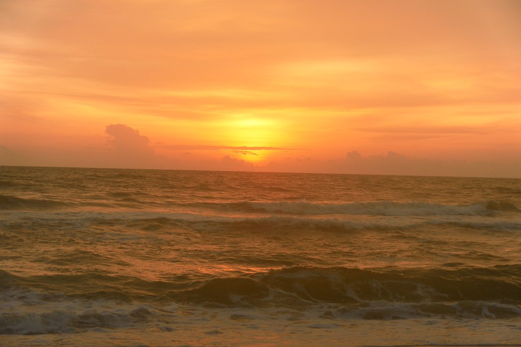 Image SAM_2753.JPG