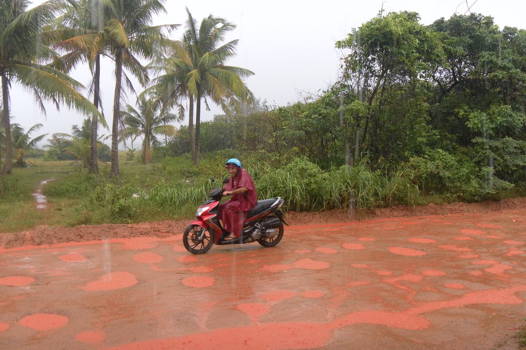Image SAM_2756.JPG