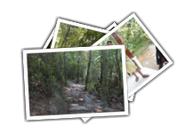 Phu Quoc album picture