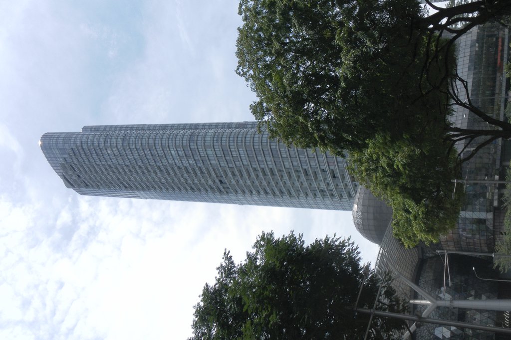 Image SAM_2788.JPG