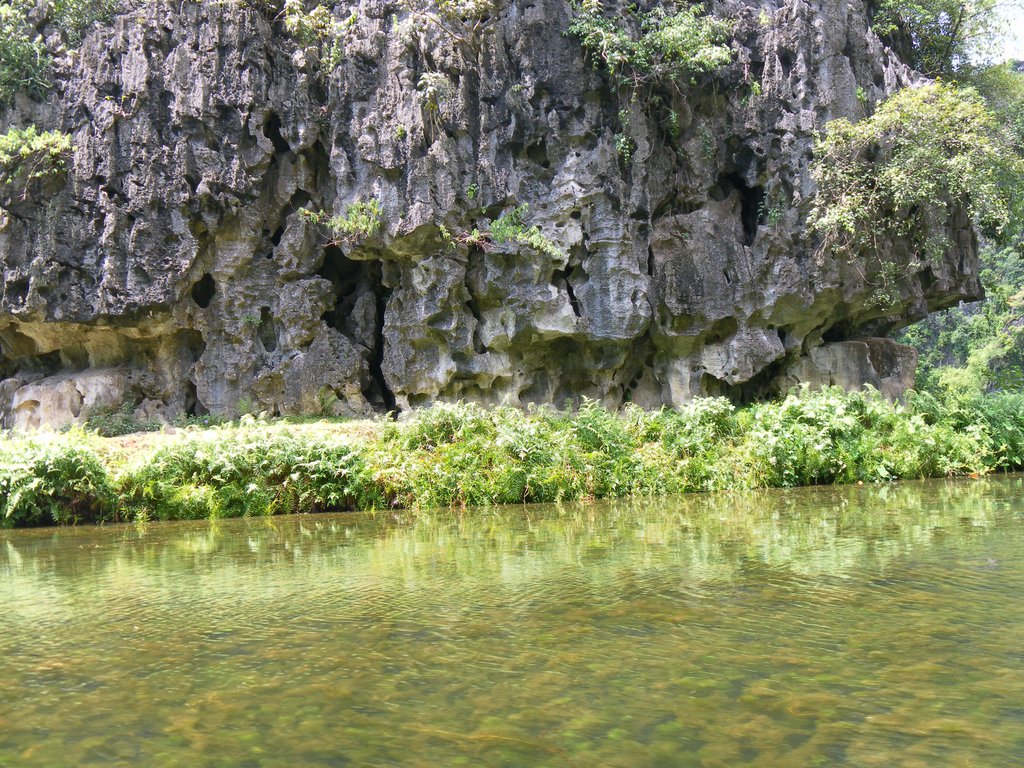Image SAM_1132.JPG