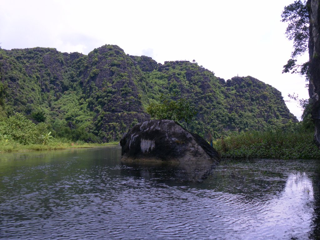 Image SAM_1136.JPG