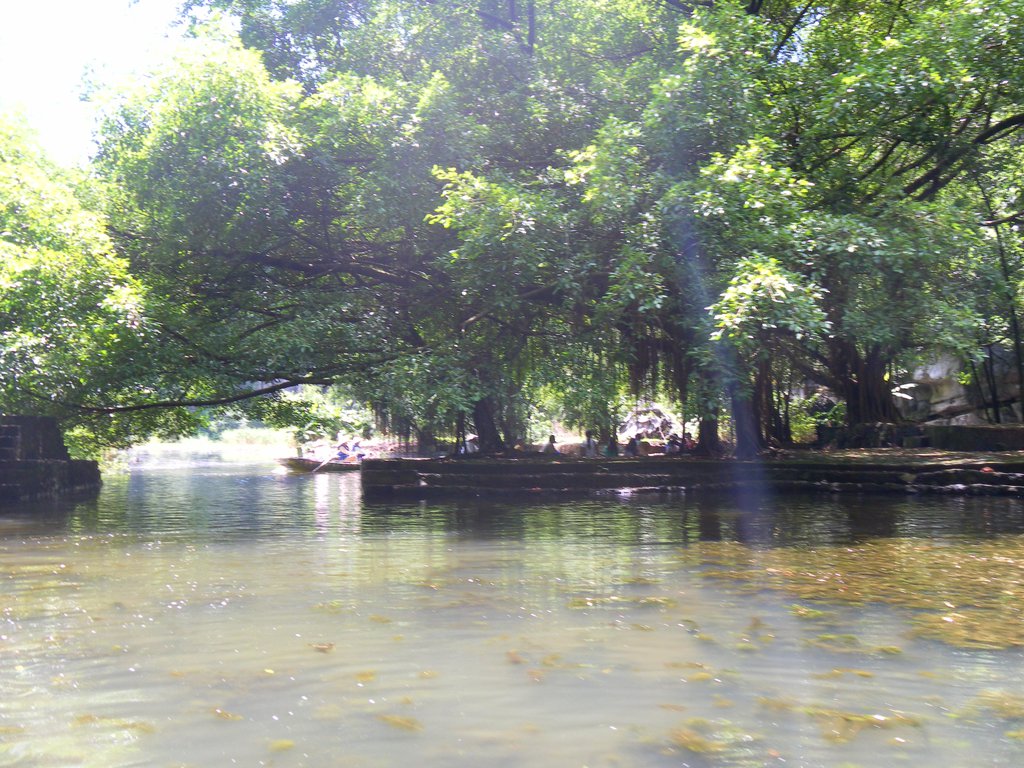 Image SAM_1188.JPG