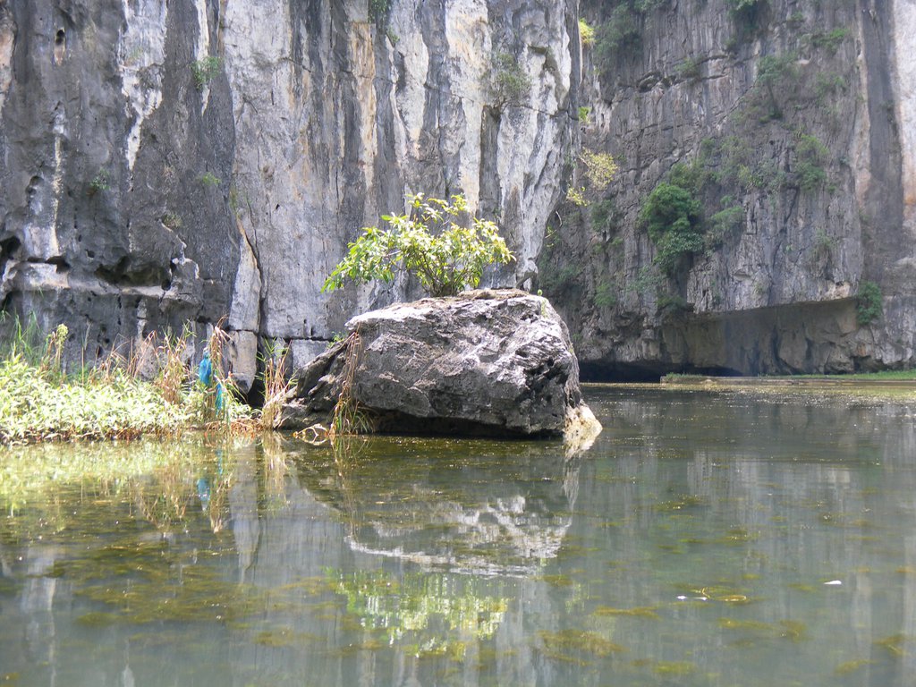Image SAM_1207.JPG
