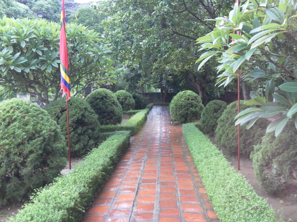 Image SAM_1215.JPG