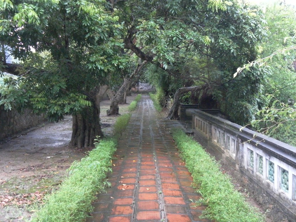 Image SAM_1216.JPG