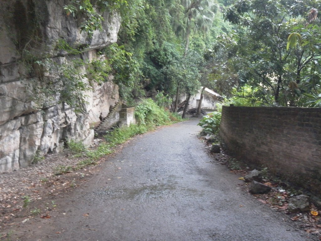 Image SAM_1227.JPG
