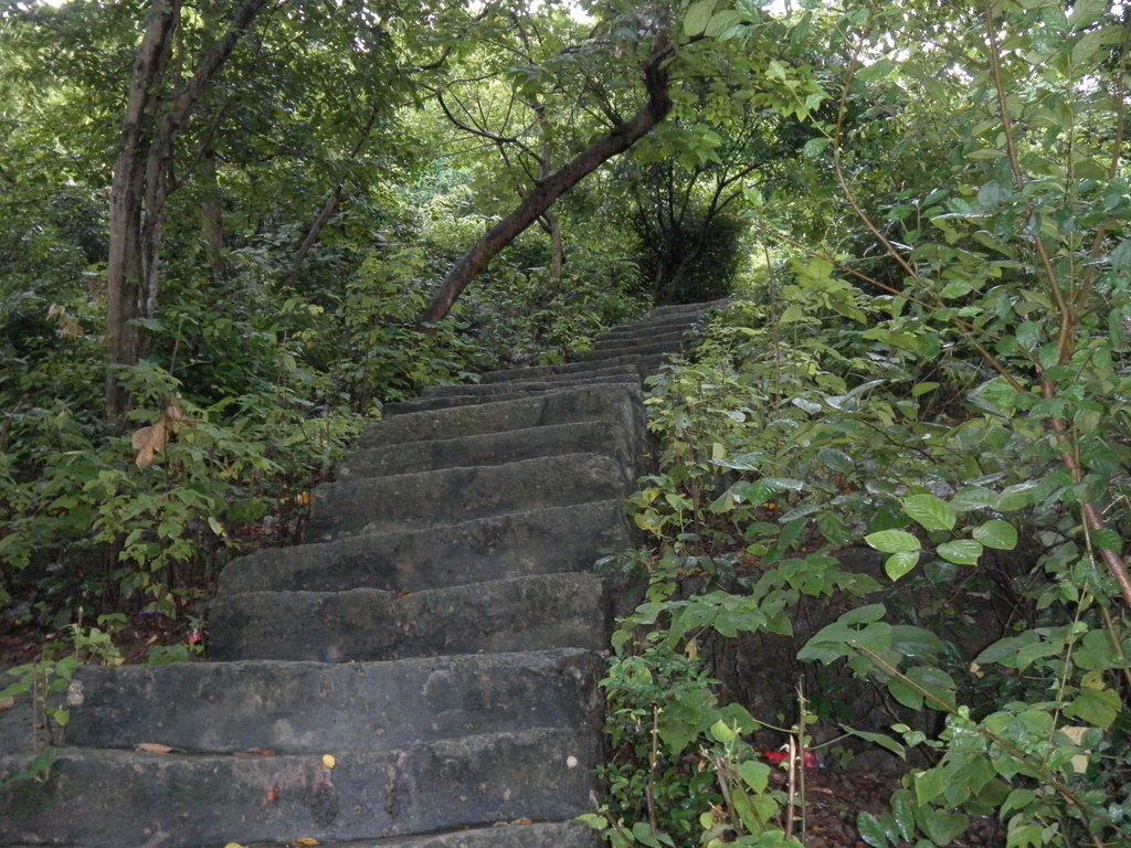 Image SAM_1231.JPG