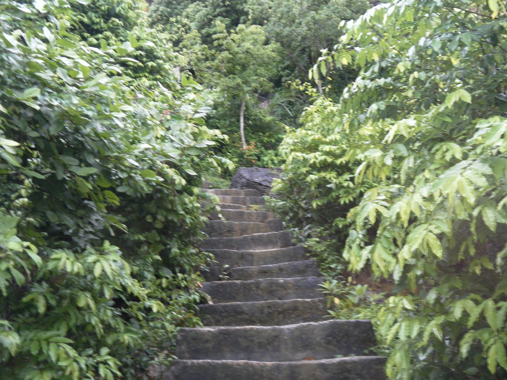 Image SAM_1232.JPG