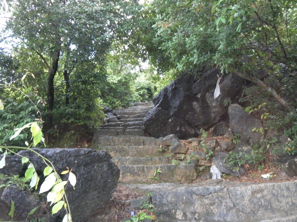 Image SAM_1234.JPG