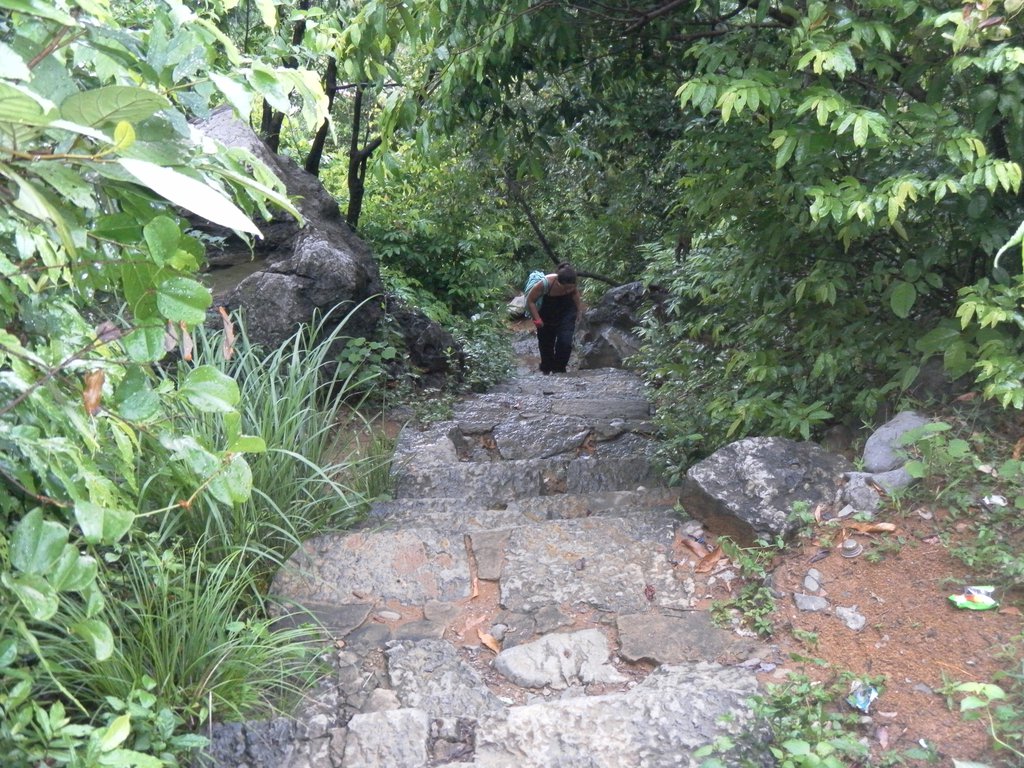 Image SAM_1235.JPG