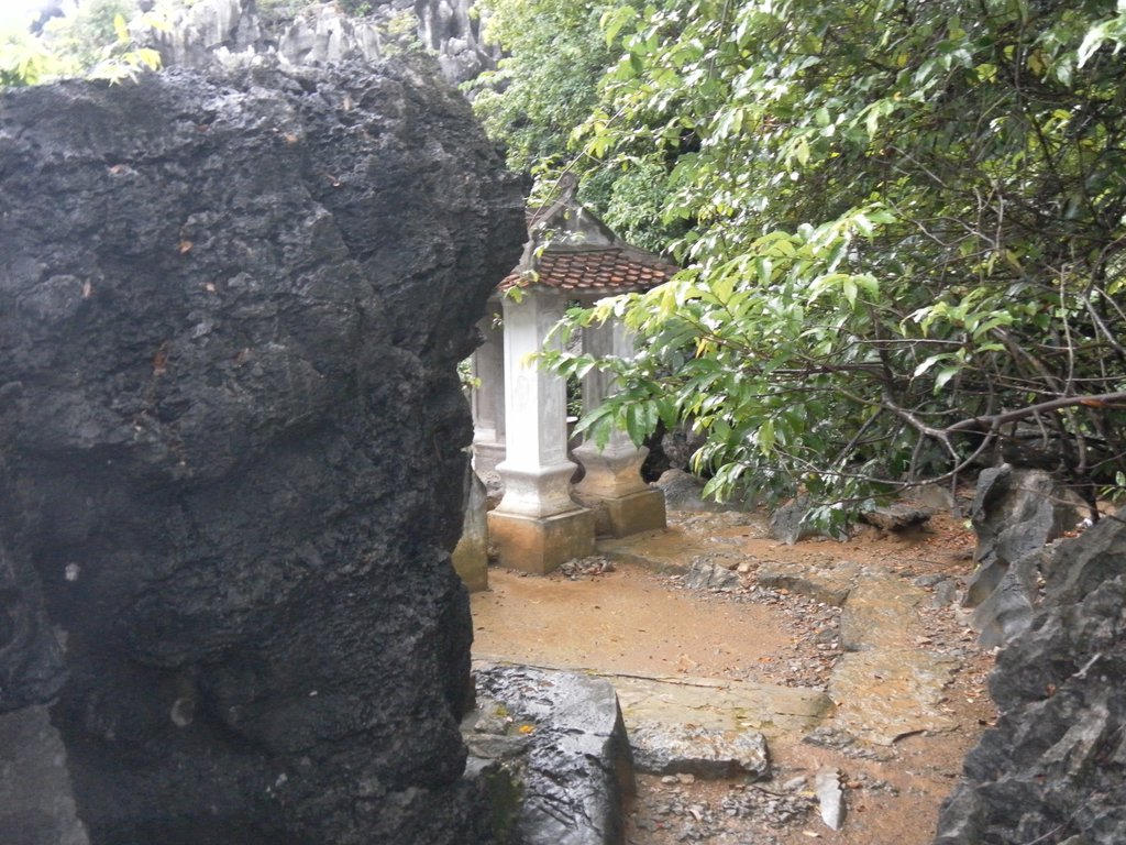 Image SAM_1240.JPG