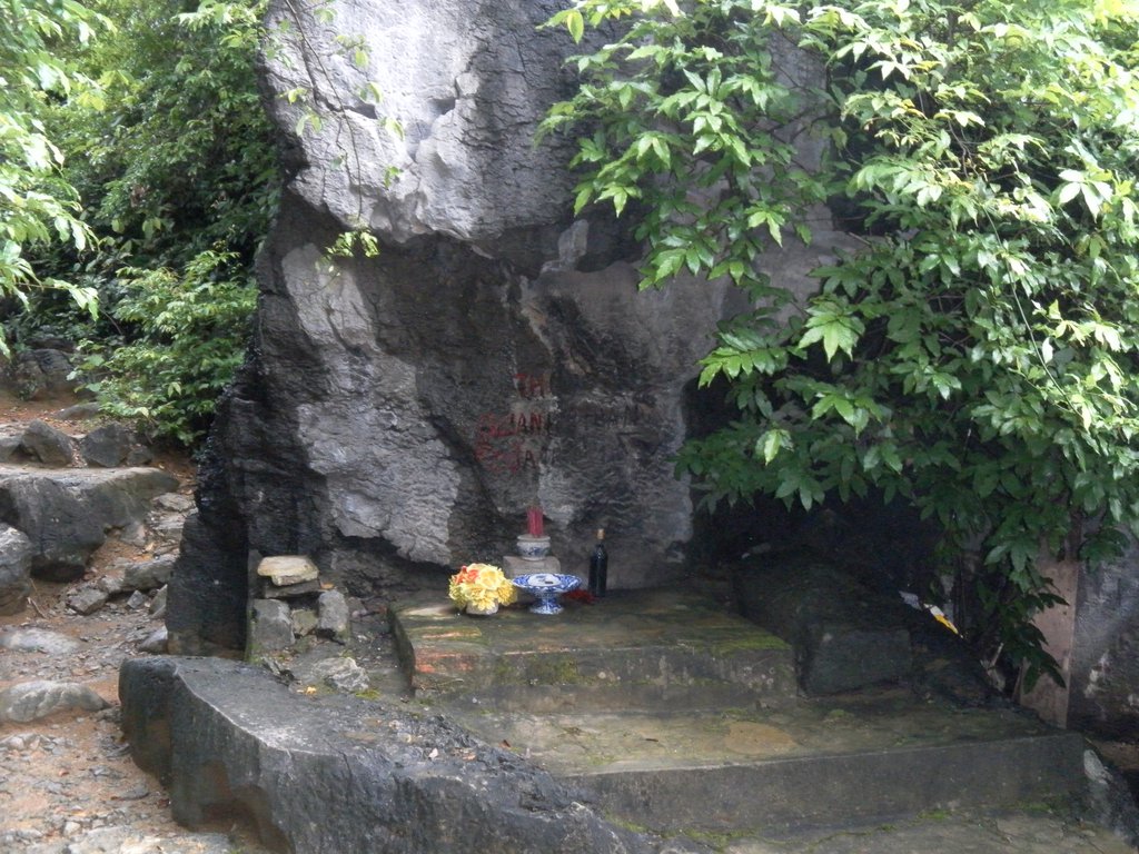 Image SAM_1242.JPG