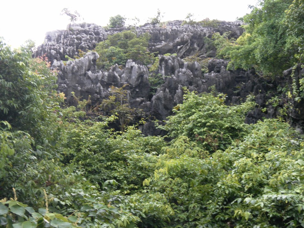 Image SAM_1244.JPG